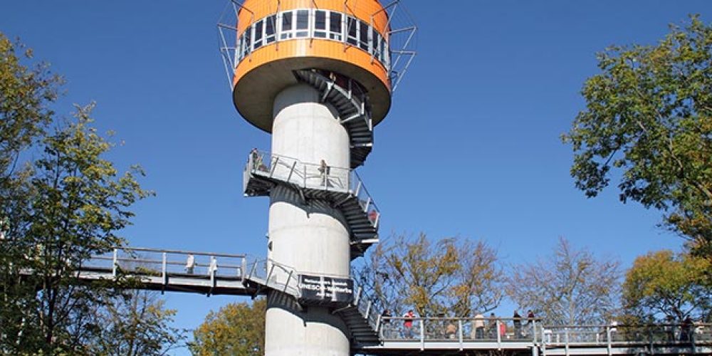 Der Baumkronenpfad im Nationalpark Hainich