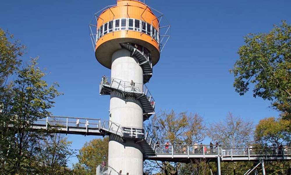 Der Baumkronenpfad im Nationalpark Hainich